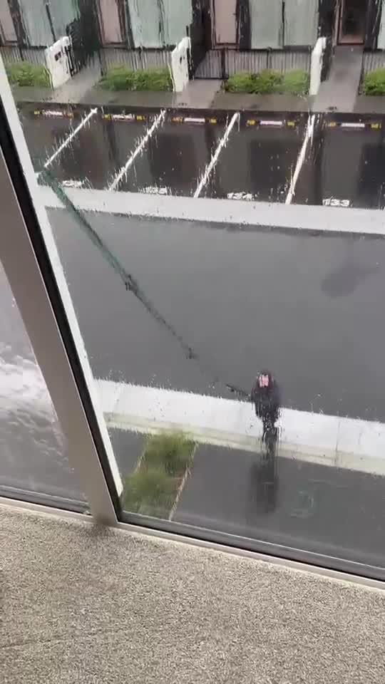 Window cleaner using a water-fed pole on large house windows